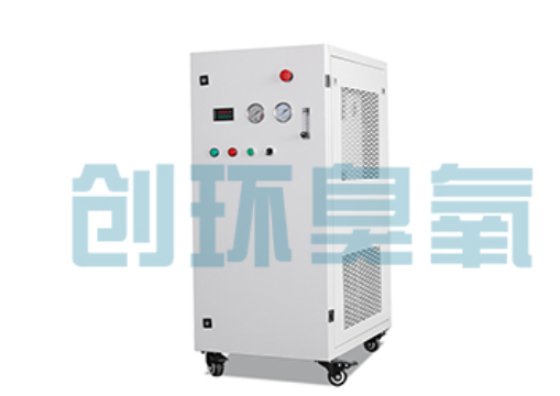昌黎石斑鱼养殖水质调控完整指南：臭氧发生器配置与操作步骤