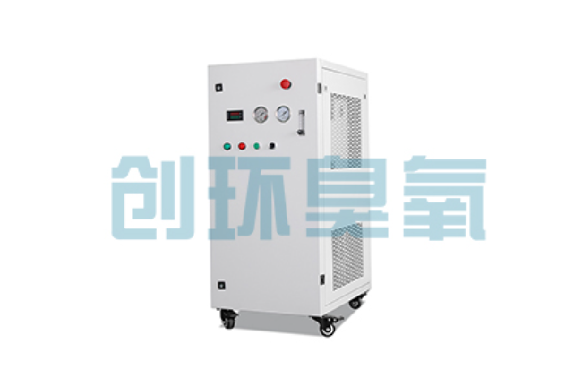 昌黎比传统换水更高效？臭氧发生器在石斑鱼养殖中的水质净化原理解析